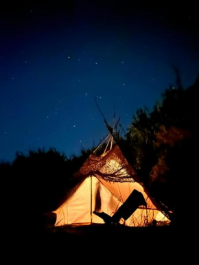 Tent in a Regenerative farm